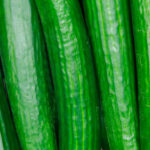 taimet-kurkku-taimi-puutarha-keskumaki-sastamala-illo-tomaatti