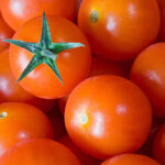 taimet-kurkku-taimi-puutarha-keskumaki-sastamala-illo-tomaatti-2