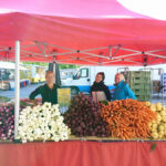 vihannekset-kaalit-kasvikset-puutarha-keskumaki-peruna-porkkana-4